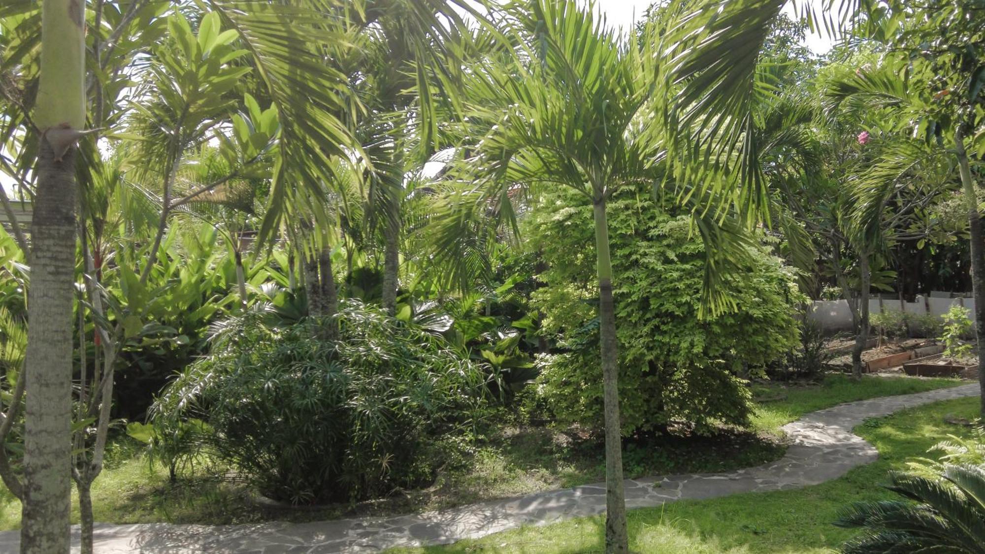 Ohmmstay - Rumah Pendopo Tanjungtirto Exterior foto